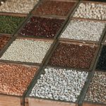 La sobreproducción global hunde los precios de la lenteja, un pilar de la dieta mediterránea